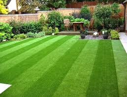 Mesa Artificial Grass